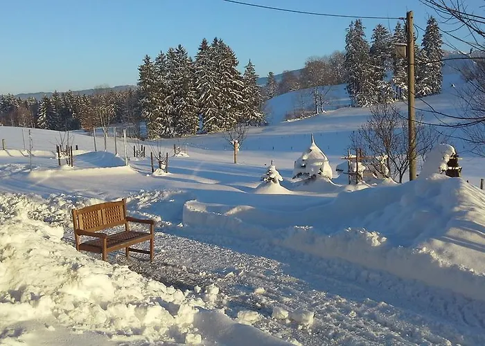 Haus Alpenhof 3*